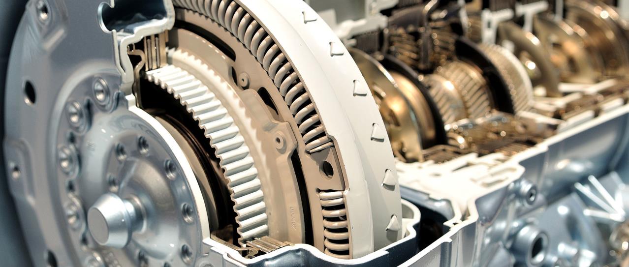 Radial Shaft Seals Freudenberg FST