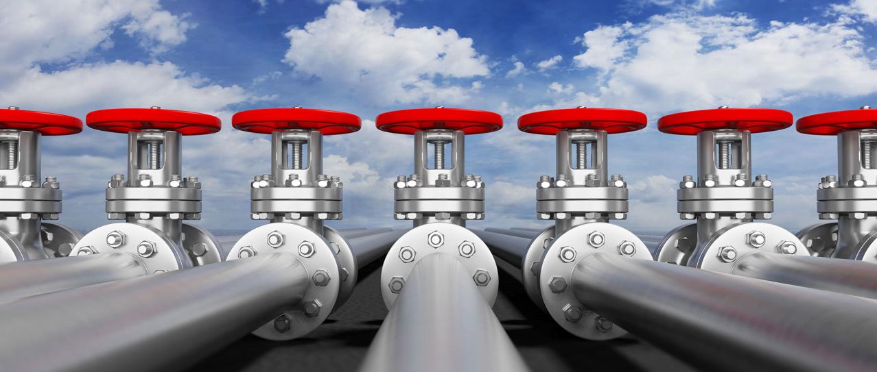 Flange Seals Freudenberg FST