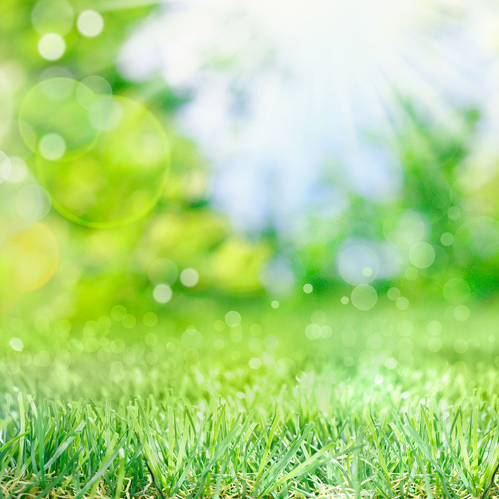 Lawn and Garden
